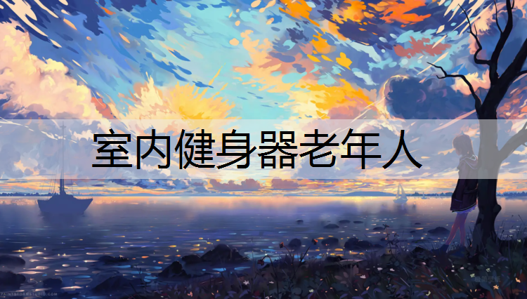 室内健身器老年人