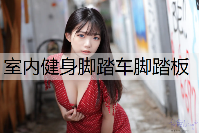 室内健身脚踏车脚踏板