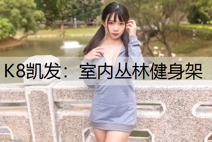 K8凯发：室内丛林健身架