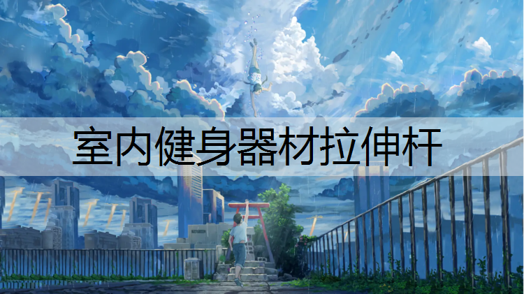 室内健身器材拉伸杆