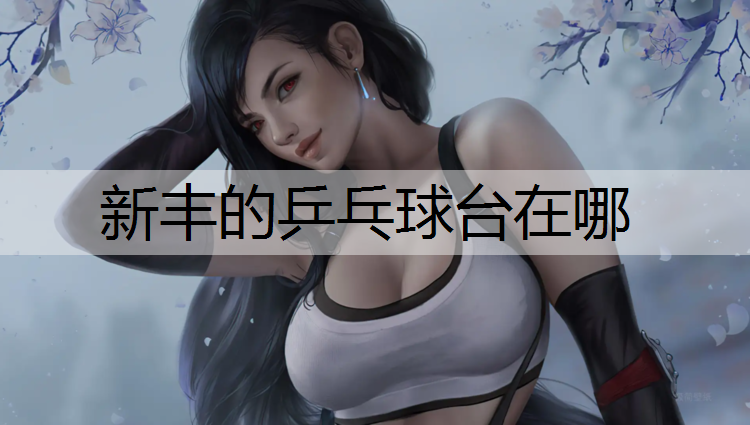 新丰的乒乓球台在哪