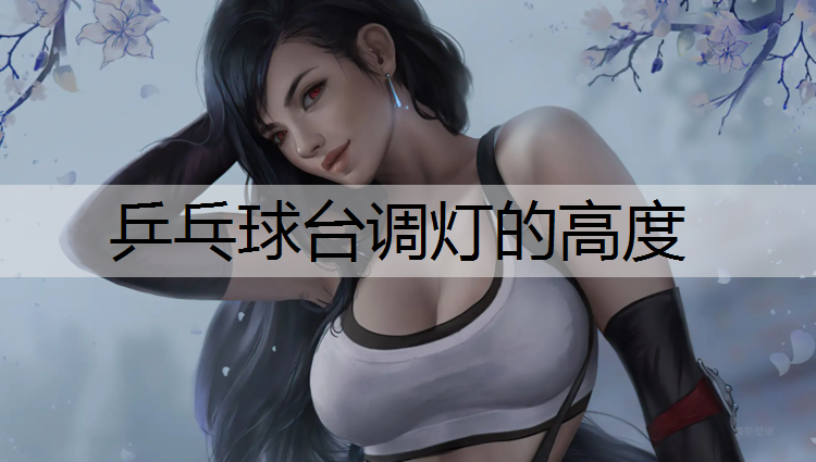 乒乓球台调灯的高度