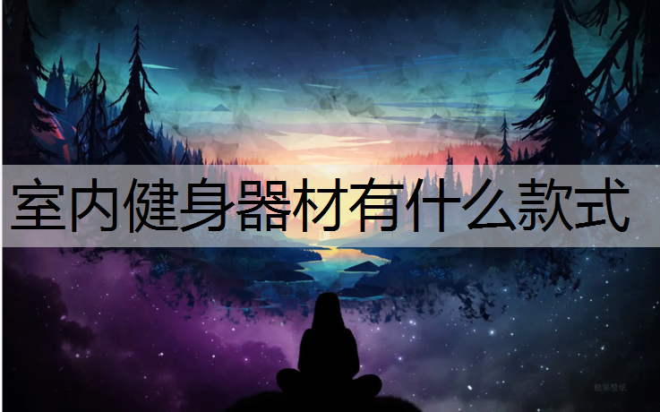 室内健身器材有什么款式