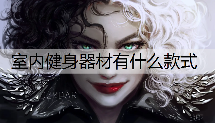 室内健身器材有什么款式