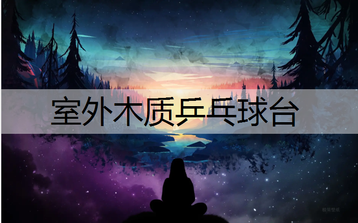室外木质乒乓球台