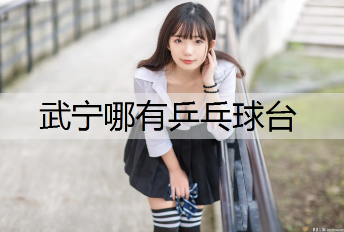 武宁哪有乒乓球台
