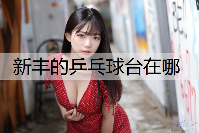 新丰的乒乓球台在哪