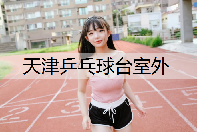 天津乒乓球台室外